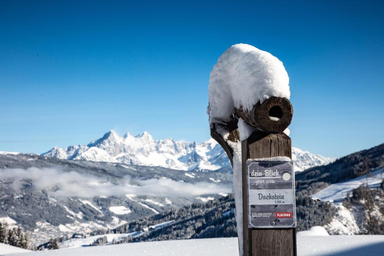 Natursinn Mountainchalets Flachau Dış mekan fotoğraf