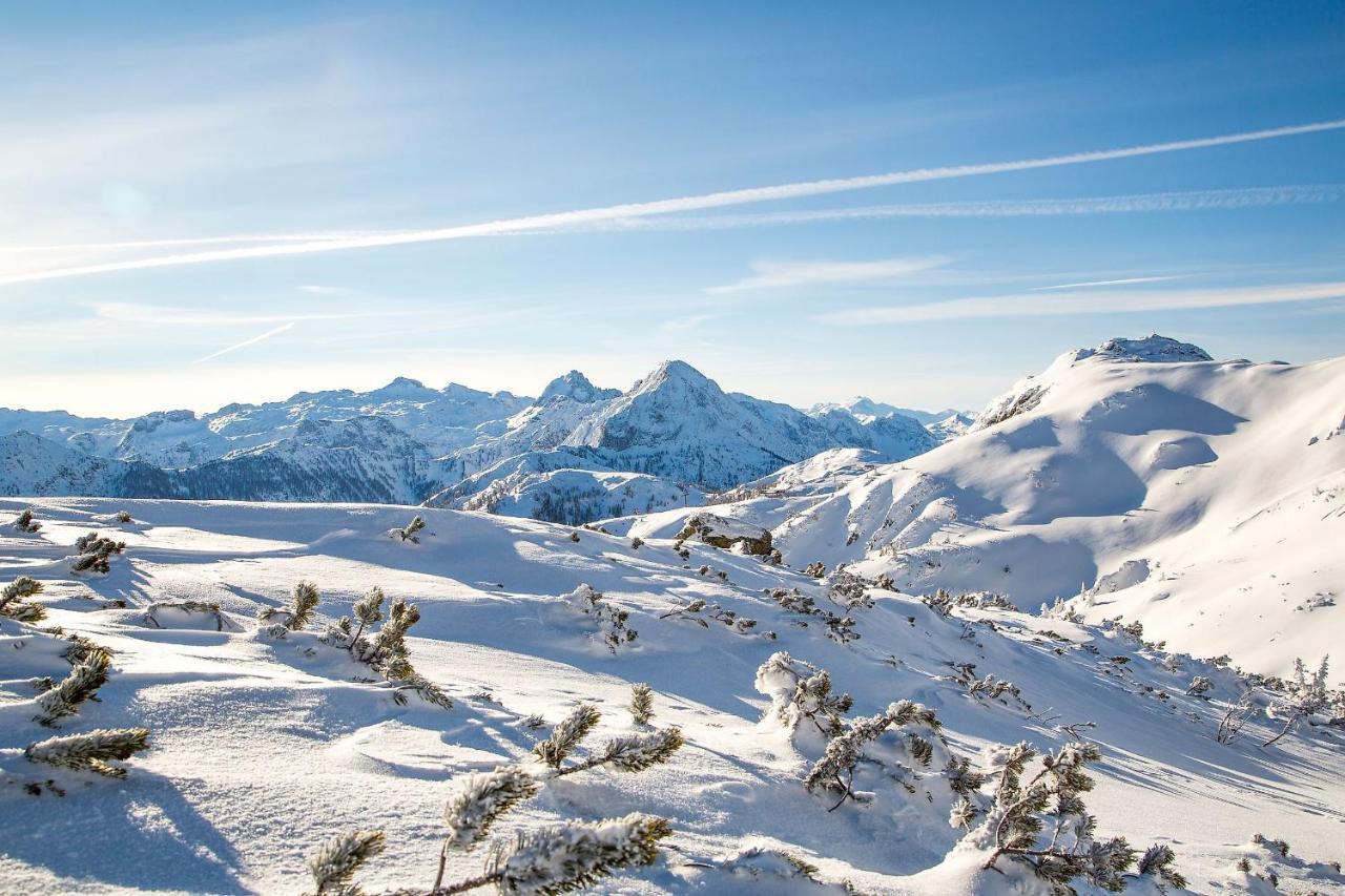 Natursinn Mountainchalets Flachau Dış mekan fotoğraf