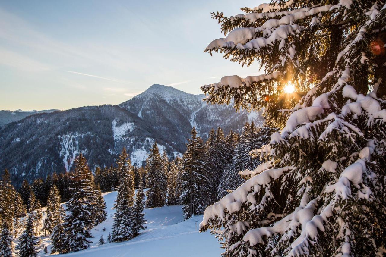 Natursinn Mountainchalets Flachau Dış mekan fotoğraf