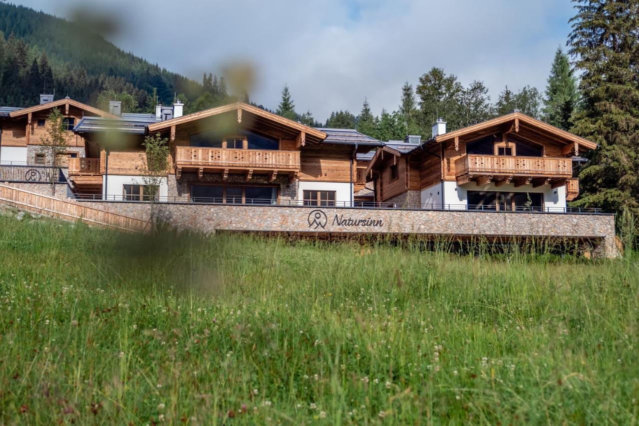 Natursinn Mountainchalets Flachau Dış mekan fotoğraf