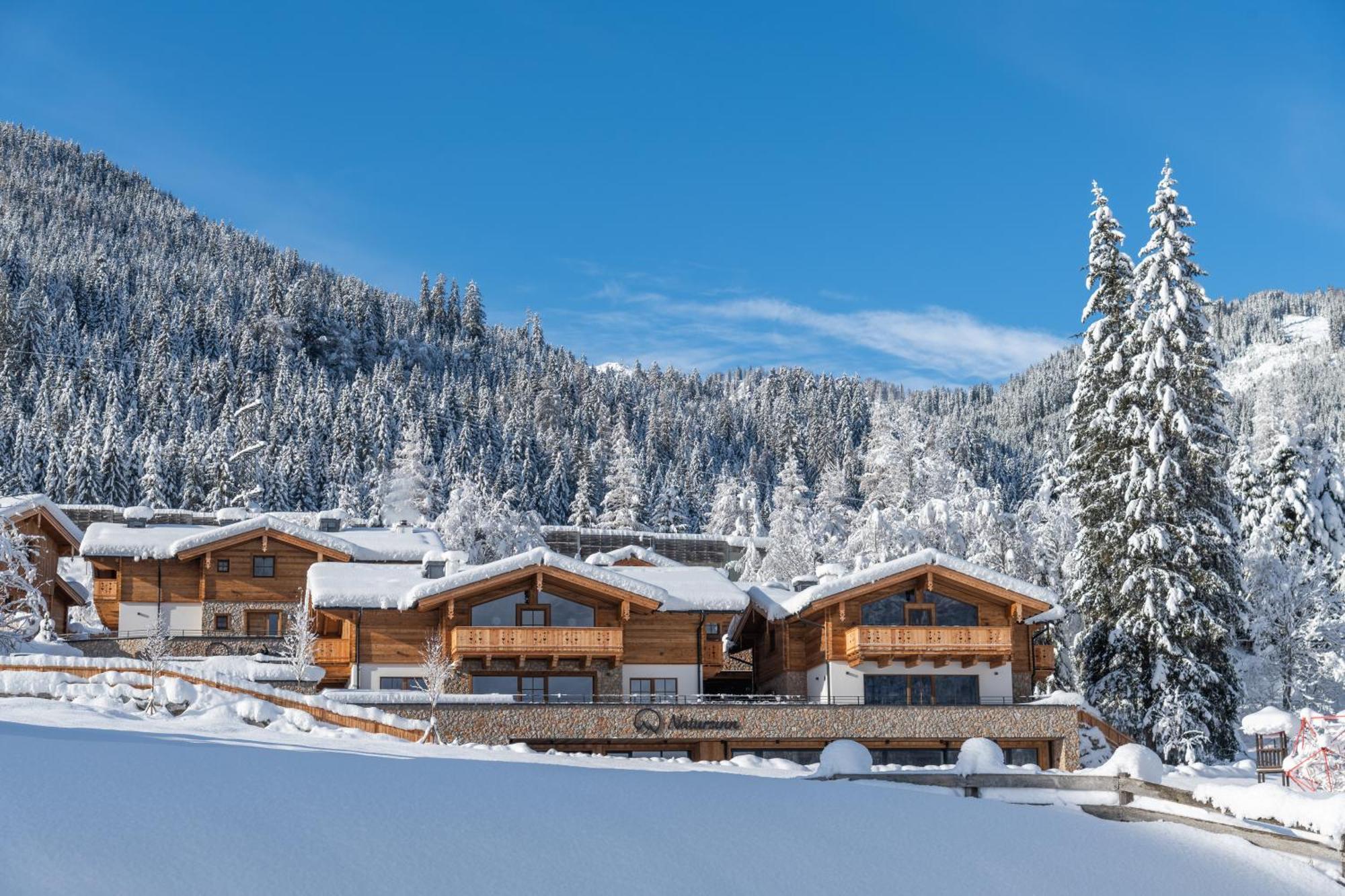 Natursinn Mountainchalets Flachau Dış mekan fotoğraf